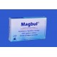 Magbul magnésium marin 300mg et de vitamines B6 30Gèlules