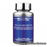 TYROSINE 100 Gelules