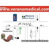 CHARBON VEGETAL (50 gelule) eco-responsable