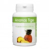 Ananas Tige - 280 mg - 100 gélules
