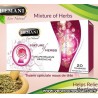 Tisane Maux de tete 20 sachets
