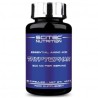 tryptophan acide amino 500mg 60 capsules