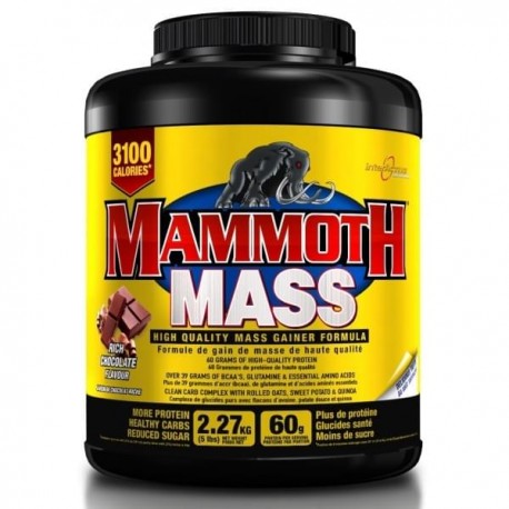Mammoth Mass Gainer (3100 calories par jour)