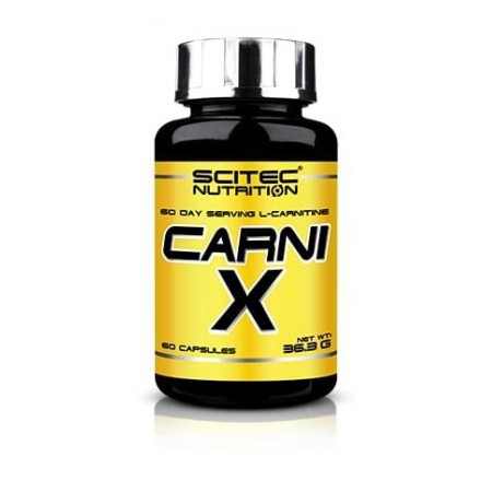 Carnitine X scitec nutrition 500 mg 60 Caps