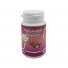 HARPAGOPHYTUM ( griffes du diable) 40 gélules de 300 mg