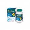 Tribulus Terrestris, le booster de testostérone pour hommes - Améliore la santé reproductive et la virilité - 60 capsules