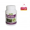 Fucus (coupe faim ) 100 gélules