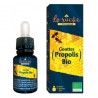 GOUTTES PROPOLIS 15ml