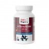 L PHÉNYLALANINE 500 - 90GÉLULES