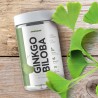 Ginkgo Biloba 90 caps
