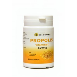 Propolis 500 mg 40 Comprimés