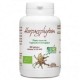 Harpagophytum Bio 200 gélules végétales 330 mg