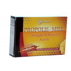 Propolis – Miel – Astragale – Echinacée – Acérola