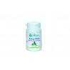 ginkgo biloba BIO 90 gélules