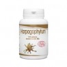 Harpagophytum Bio – GPH – 100 gélules – 330mg