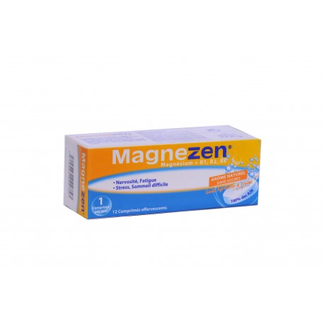 MAGNEZEN MAGNÉSIUM + Vit B1,B2,B6 12 comp