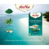 Chlorella Menthe infusion 17 infusettes