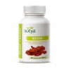 Reishi 90 capsules de 500mg