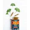 Ginkgo Biloba Bio - Circulation et Mémoire 20 ampoules