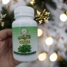 ORTIE BIO 40 gélules