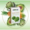 Biofar Phyto Digestion Boite De 8 Comprimés
