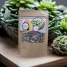 Graines de moringa بذور المورينجا gr 50