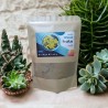 POUDRE DE GINKGO BILOBA BIO 250gr