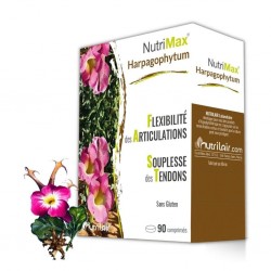Harpagophytum Anti-inflammatoire naturel 90 Comprimés