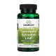 Gymnema Sylvestre 400mg (100 Veg Caps)