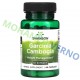 Garcinia Cambogia 60 Caps