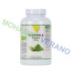 Chlorella Biologique 500mg 100 gélules végétales