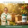 Propolis Verte du Brésil 60 gélules