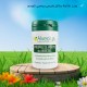 Propolis Verte du Brésil 60 gélules