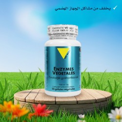 Enzymes végétale la digestion 30 gélules
