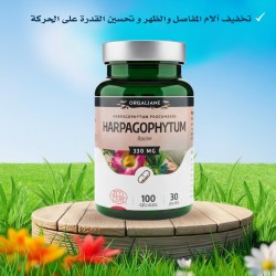 Harpagophytum Bio - 100 gélules végétales de 330 mg
