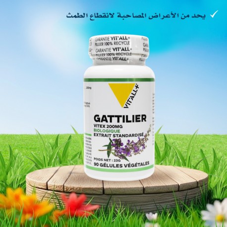 GATTILIER BIO 200 mg Extrait Standardisé de Vitex - 90 gélules - VIT'ALL+