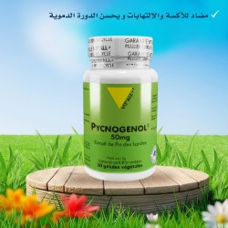 vitall + Pycnogénol 50 mg 30 gélules végétales