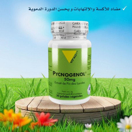 vitall + Pycnogénol 50 mg 30 gélules végétales