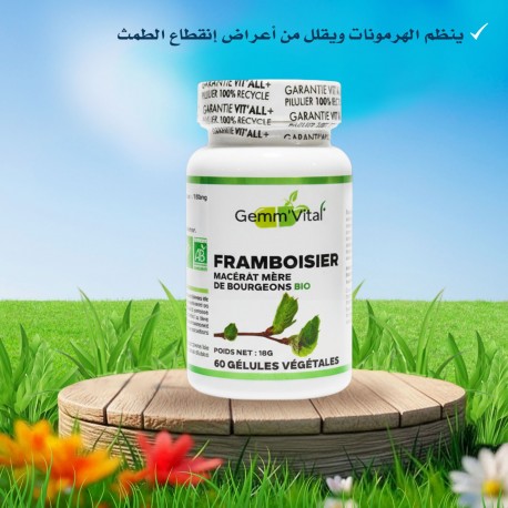 vitall + Framboisier Bourgeon Bio Troubles Féminins 60 gélules