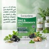 Santarome - Gaz & Ballonnements Bio - 30 gélules