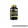 BCAA 6000 biotech 100 tabs